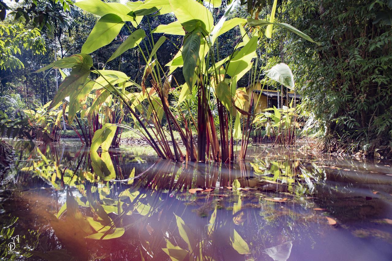 Hotel Garden Of Joy Koh Chang Zewnętrze zdjęcie